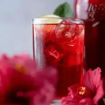 Hibiscus Iced Tea
