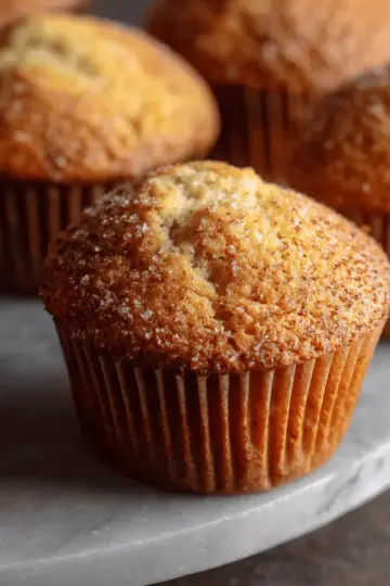 Basic Muffin Recipe