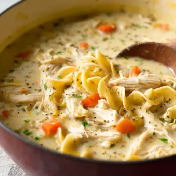 Creamy Chicken Noodle Soup
