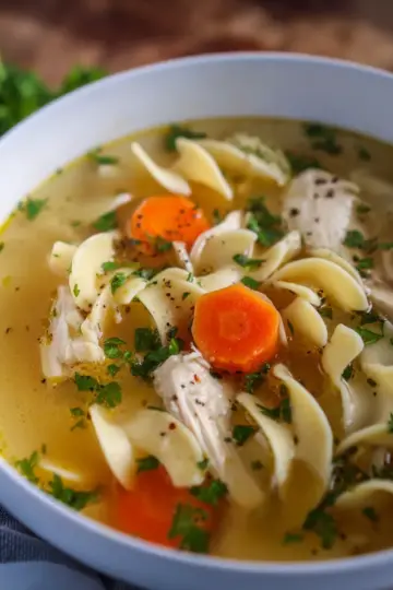 Instant Pot Chicken Noodle Soup